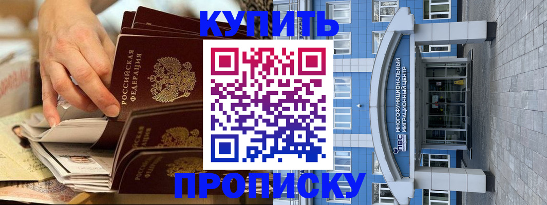 прописка гарантия в Зеленогорске